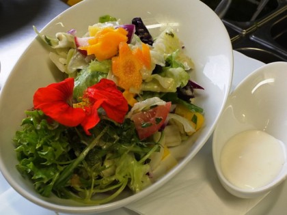 Foto: Schwanefeld